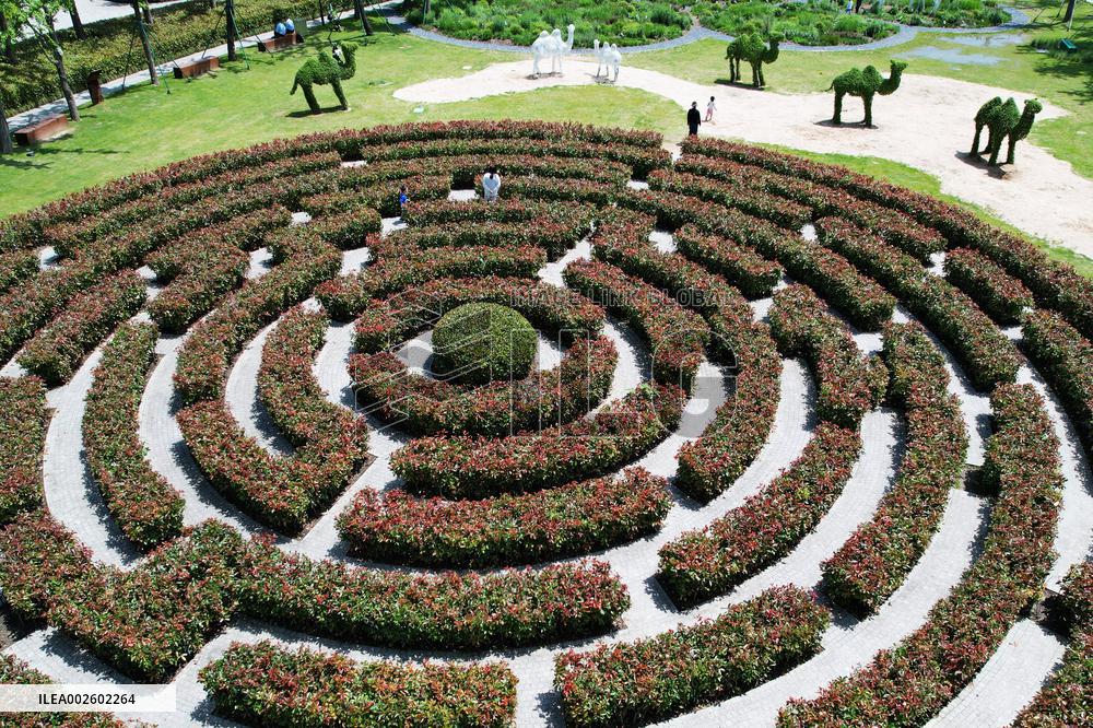 A Plant Maze in Hangzhou