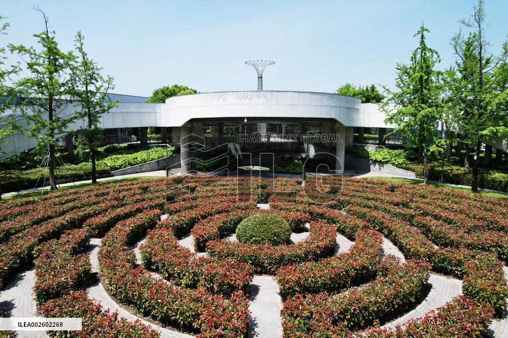 A Plant Maze in Hangzhou
