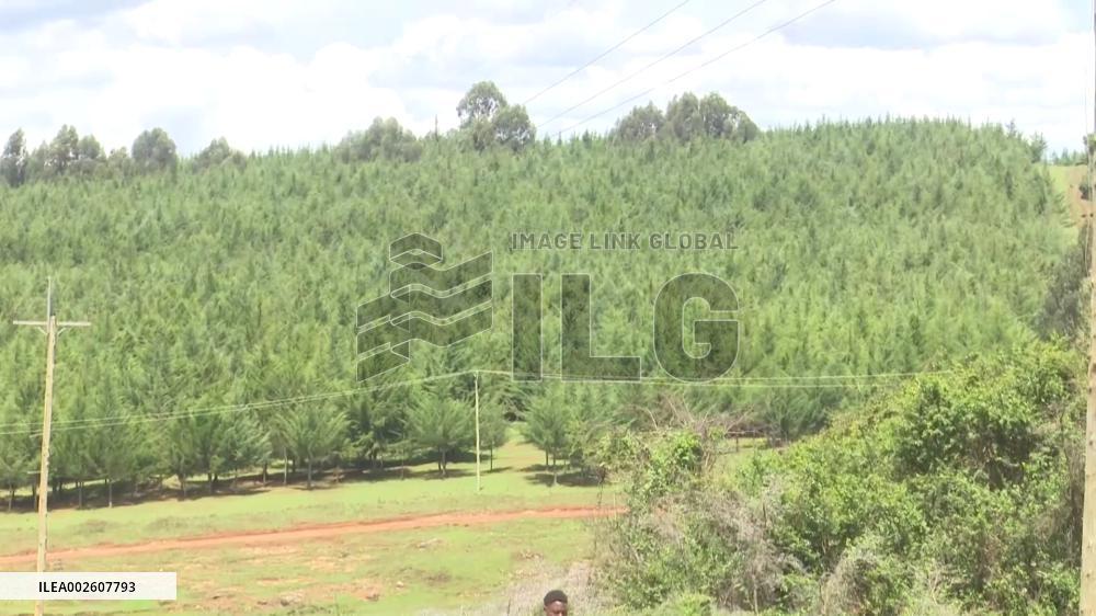 Tree planting campaign launched in Kenya to mark Earth Day