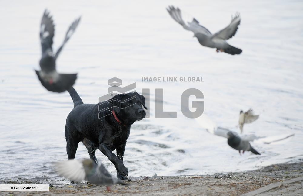 Flooding in Kyivs Obolonskyi district