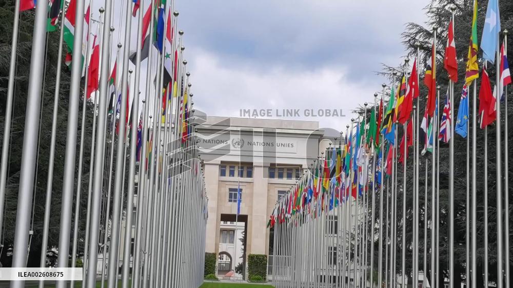 Chinese Language Day marked in Geneva