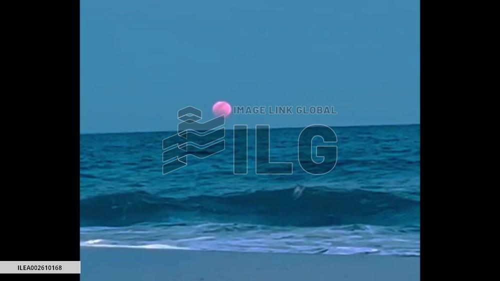 April’s Full Pink Moon Lights Up Night Skies