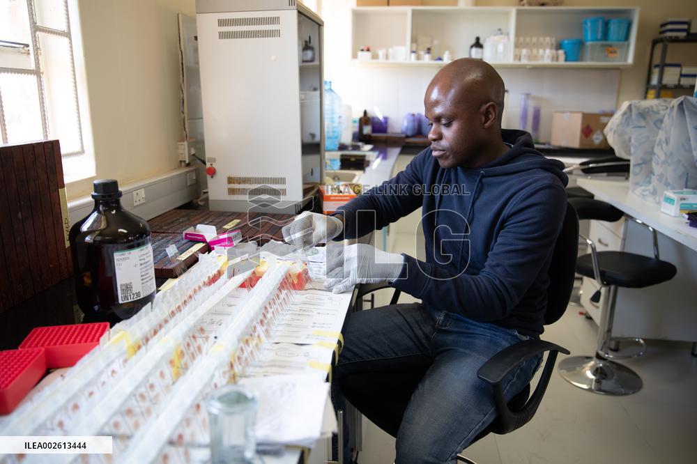 ZAMBIA-LUSAKA-MALARIA ELIMINATION