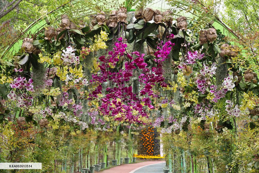 SOUTH KOREA-GOYANG-HORTICULTURE FESTIVAL