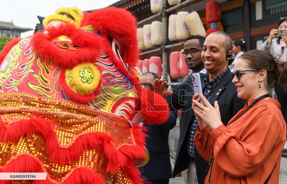 CHINA-HUBEI-LATIN AMERICAN-CARIBBEAN COUNTRIES-DIPLOMATS-VISIT
