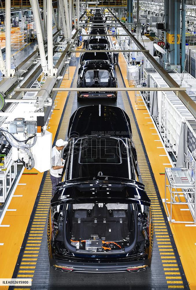 CHINA-ECONOMY-NEV INDUSTRY (CN)