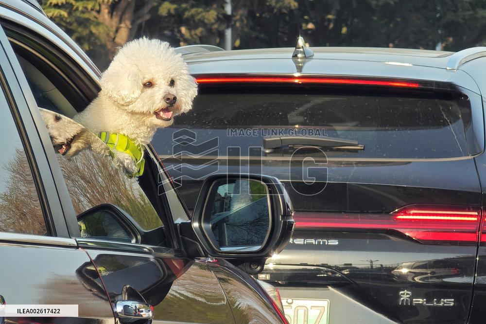 Daily Life in Yantai