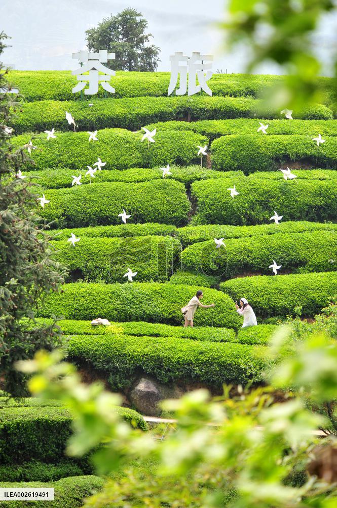 #CHINA-SPRING-SCENERY (CN)