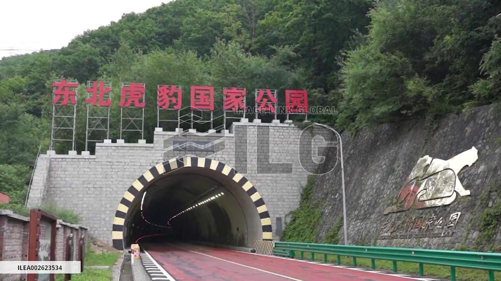 China's tiger and leopard park launches new round of habitat restoration operations