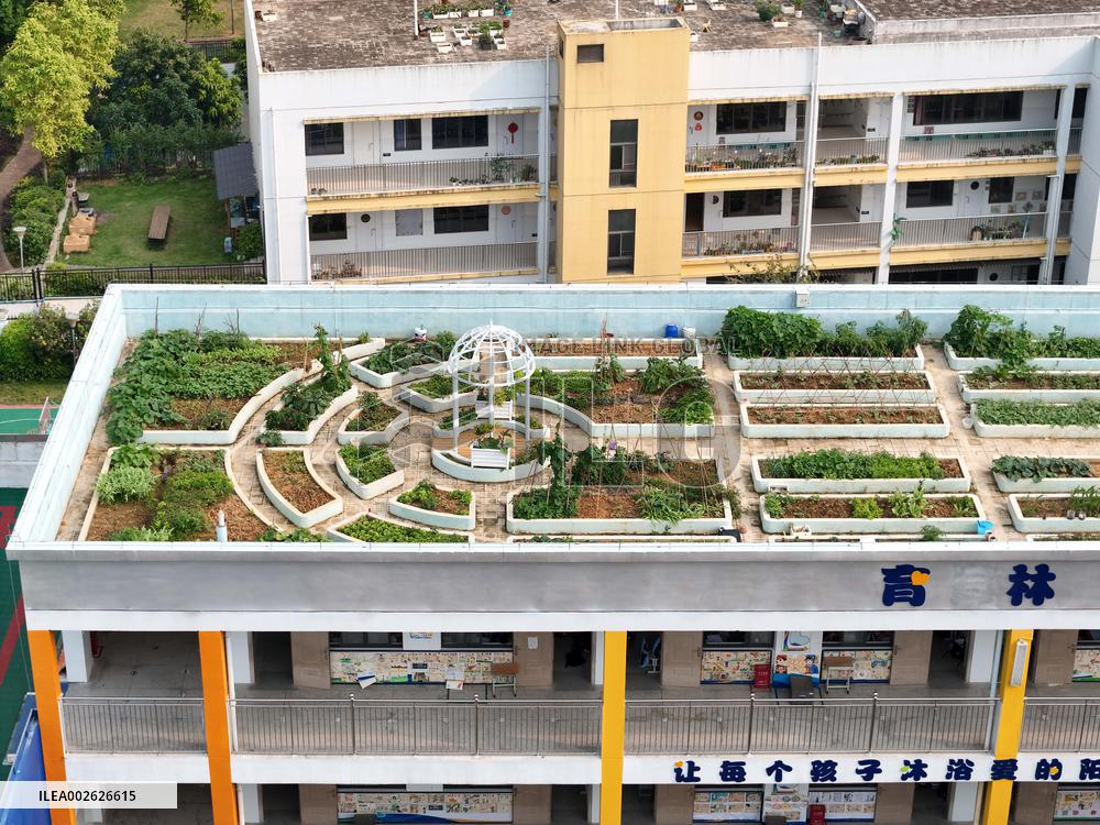Sky Vegetable Garden in Nanning