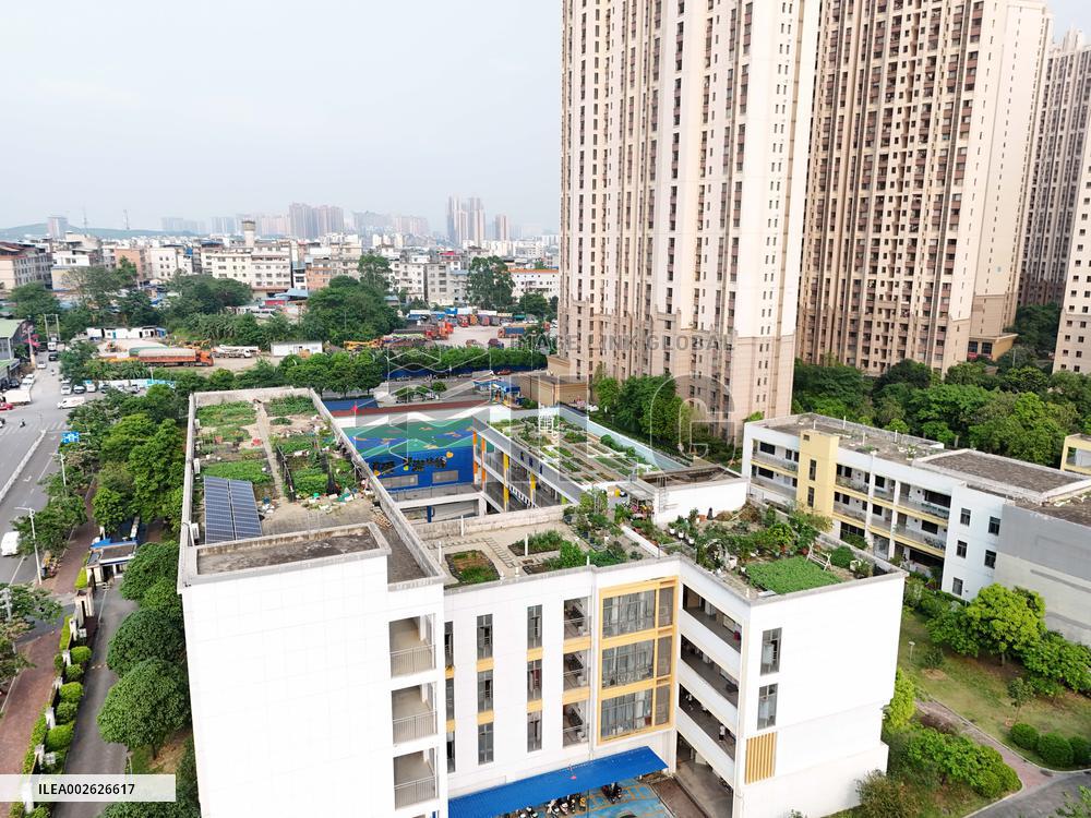 Sky Vegetable Garden in Nanning