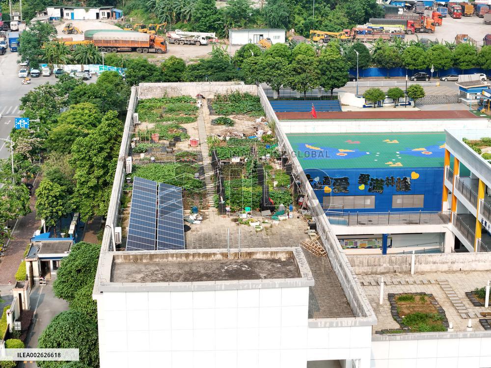 Sky Vegetable Garden in Nanning