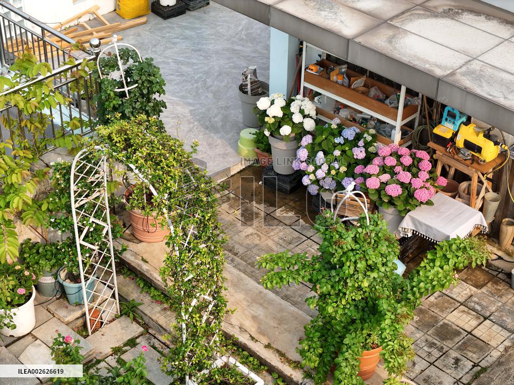 Sky Vegetable Garden in Nanning