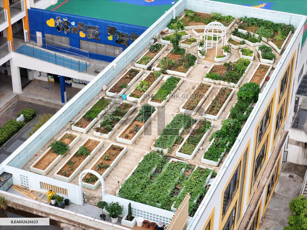 Sky Vegetable Garden in Nanning