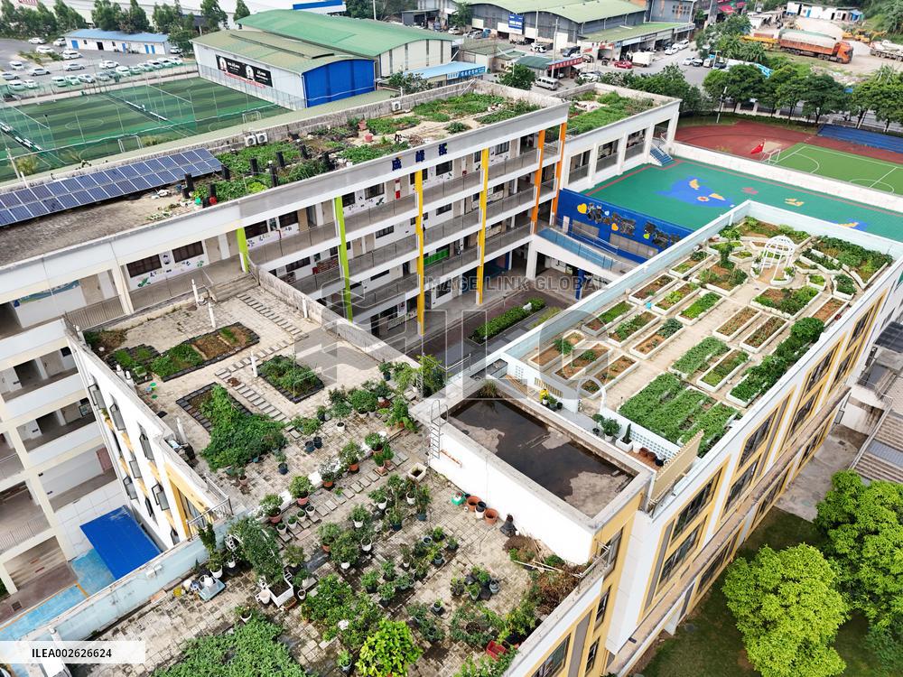 Sky Vegetable Garden in Nanning