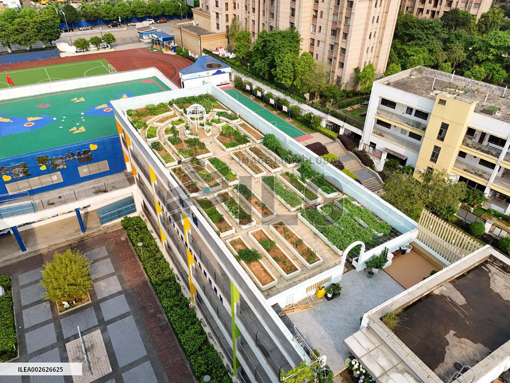 Sky Vegetable Garden in Nanning