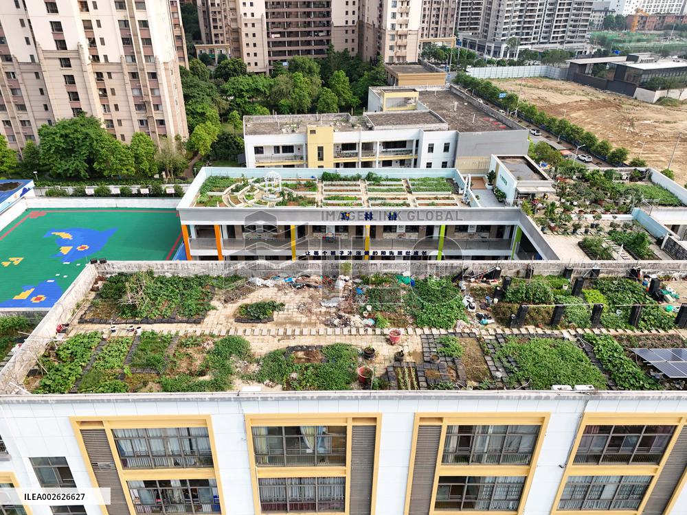 Sky Vegetable Garden in Nanning