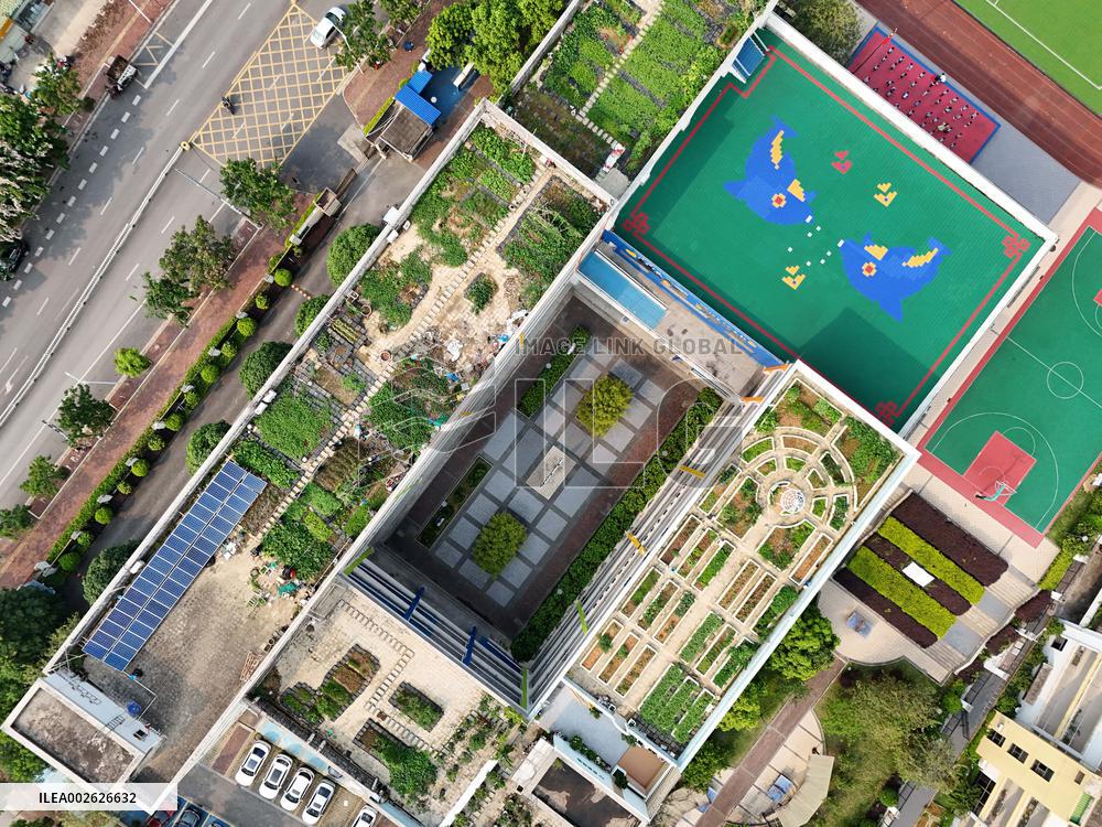 Sky Vegetable Garden in Nanning