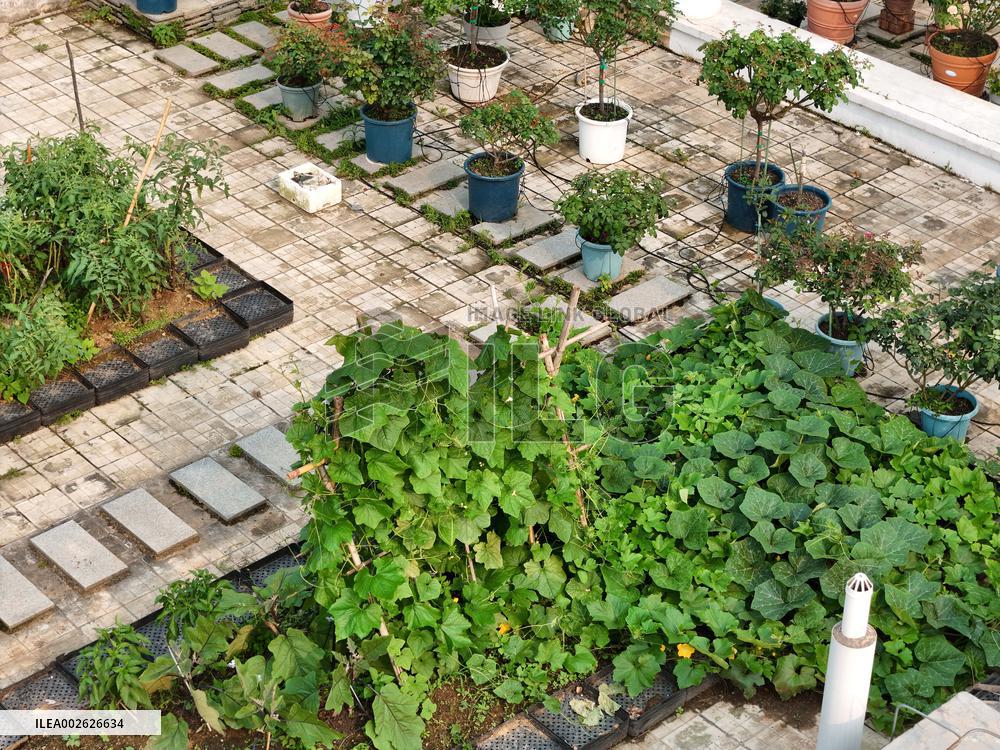 Sky Vegetable Garden in Nanning