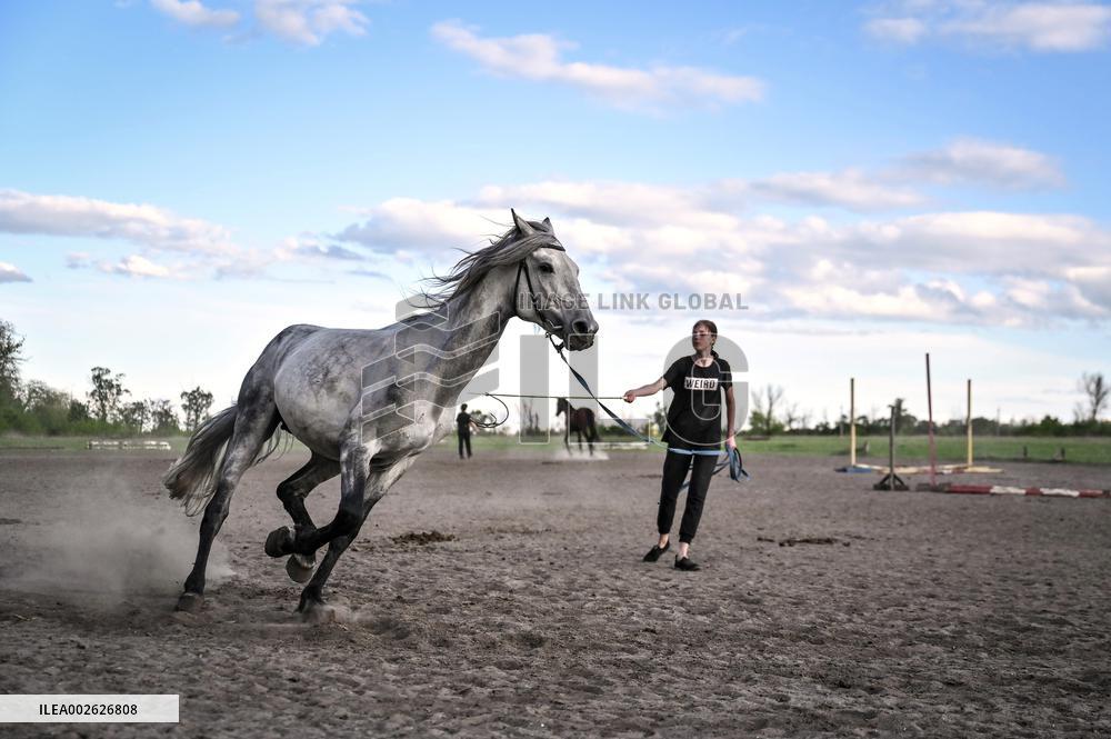 Horse training on Khortytsia island