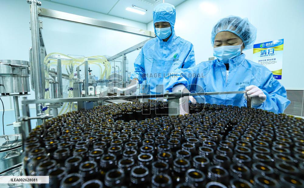 Agricultural Biotechnology in Zhangye