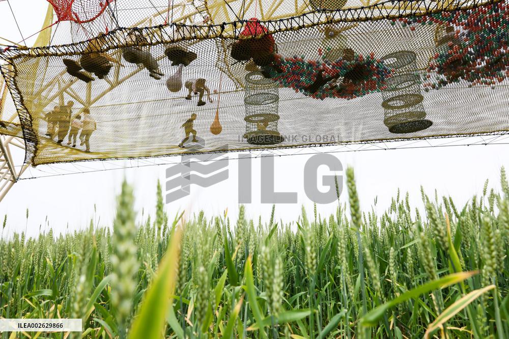 CHINA-ZHEJIANG-JIAXING-RURAL DEVELOPMENT (CN)