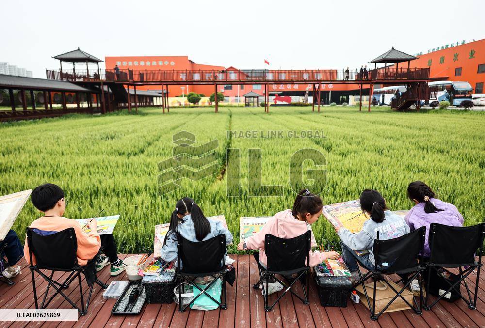 CHINA-ZHEJIANG-JIAXING-RURAL DEVELOPMENT (CN)