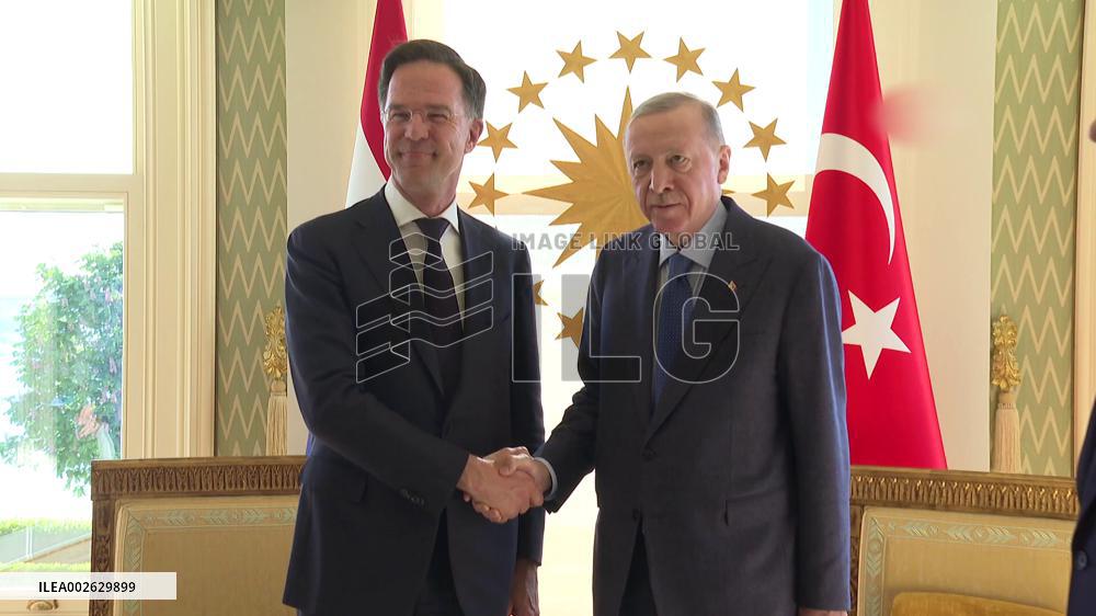 Türkiye to endorse Dutch PM Rutte as candidacy for NATO chief: media