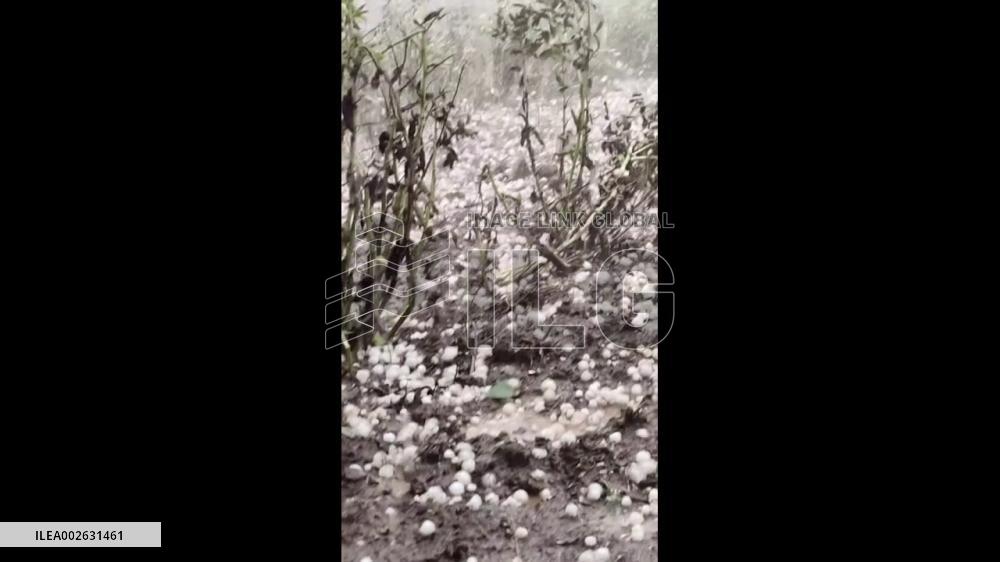 China: Large Hail Damages Crops In Xuejiaba Village, Guizhou Province
