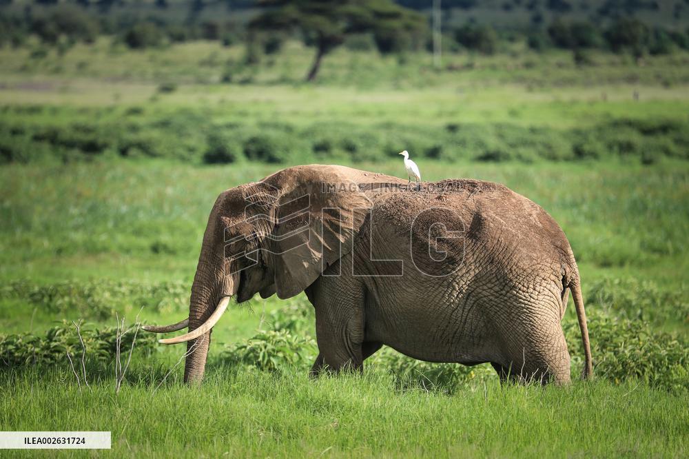 XINHUA PHOTOS OF THE DAY