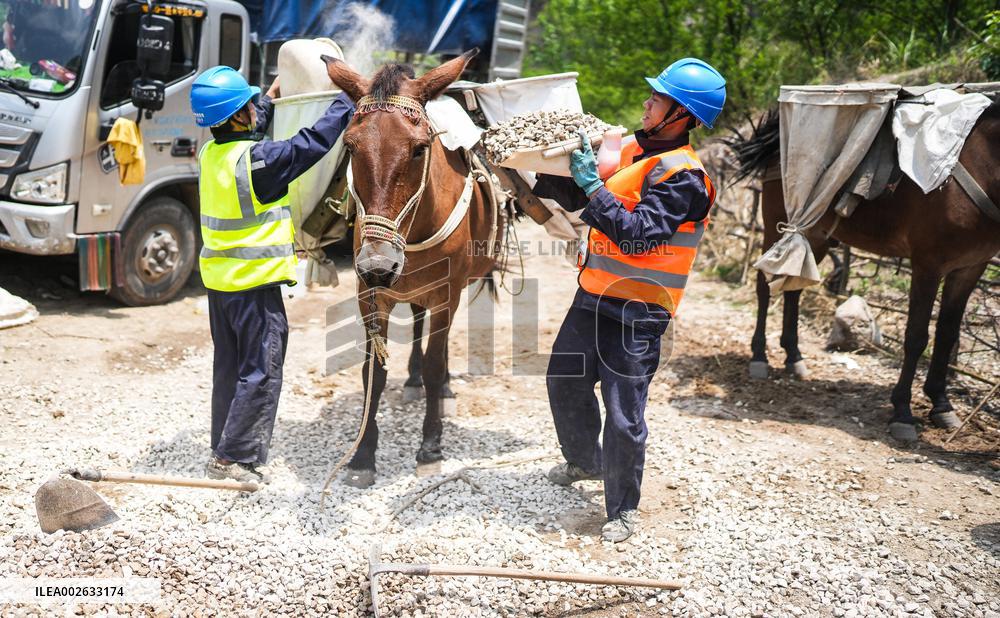 CHINA-GUIZHOU-POWER GRID-CONSTRUCTION (CN)