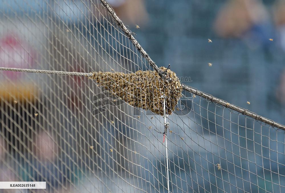 Baseball: Dodgers vs. D-backs