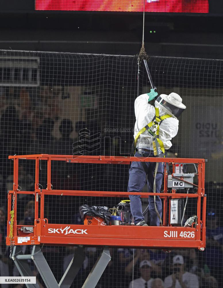 Baseball: Dodgers vs. D-backs