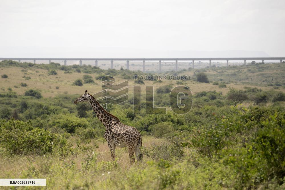 Nairobi National Park