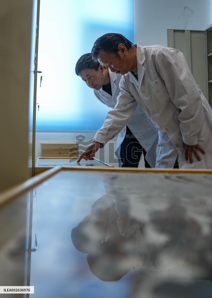 (InXizang)CHINA-XIZANG-INSECT CLASSIFICATION RESEARCHER (CN)
