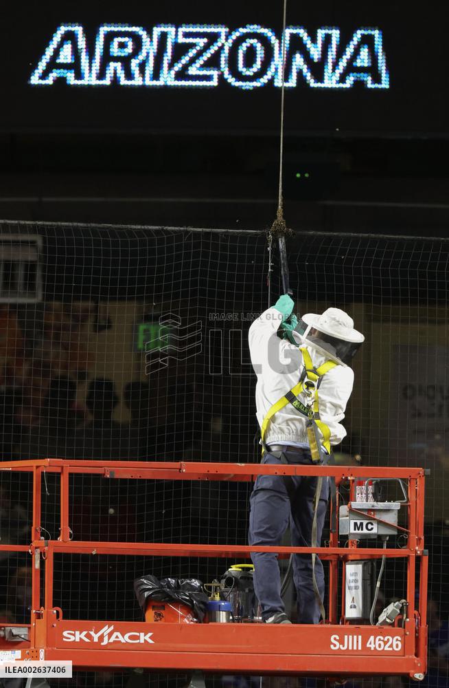 Baseball: Dodgers vs. D-backs