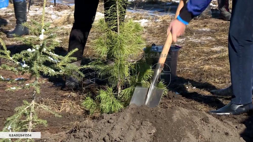 Mongolia plants 42 mln trees since 2021 to combat desertification