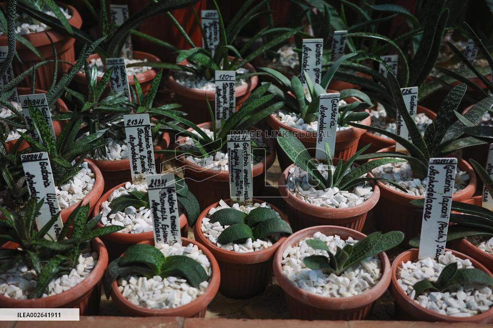 Botanical garden of Lviv National University