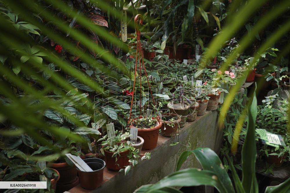 Botanical garden of Lviv National University