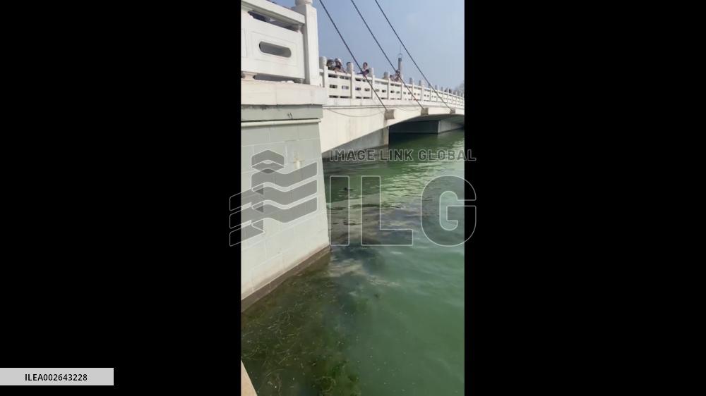 China: 64-Year-Old Man Rescues Girl Who Falls Into Water In Liaocheng, Shandong