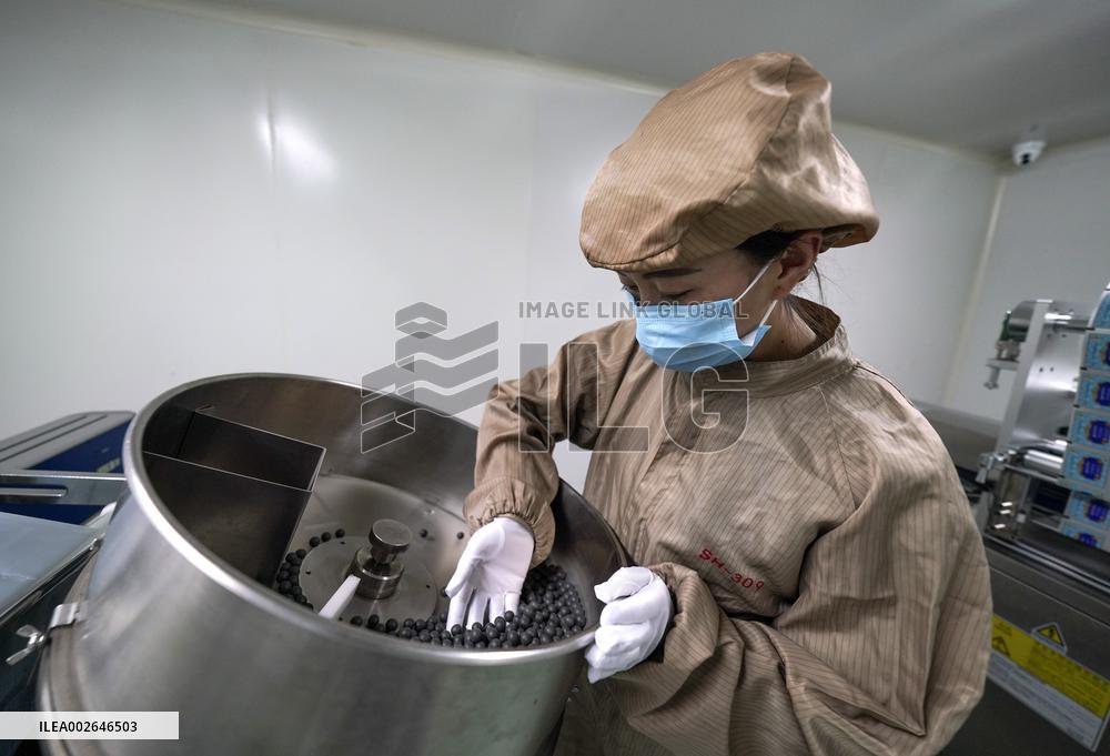 (InXizang)CHINA-XIZANG-TIBETAN MEDICINE (CN)