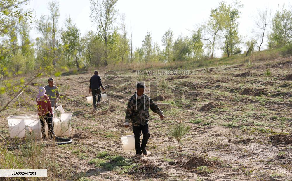 (ChineseToday)CHINA-LIAONING-FUXIN-AFFORESTATION  (CN)