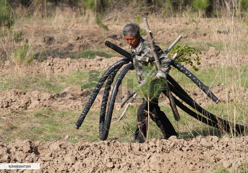 (ChineseToday)CHINA-LIAONING-FUXIN-AFFORESTATION  (CN)