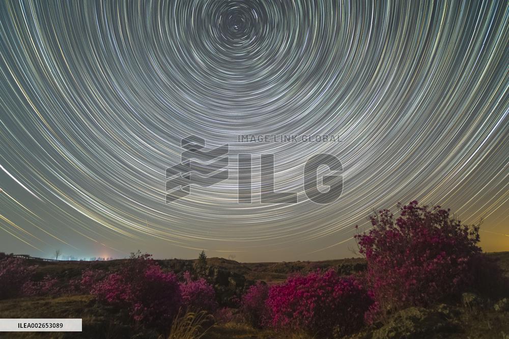 #CHINA-HEILONGJIANG-FLOWERS-STARRY SKY (CN)