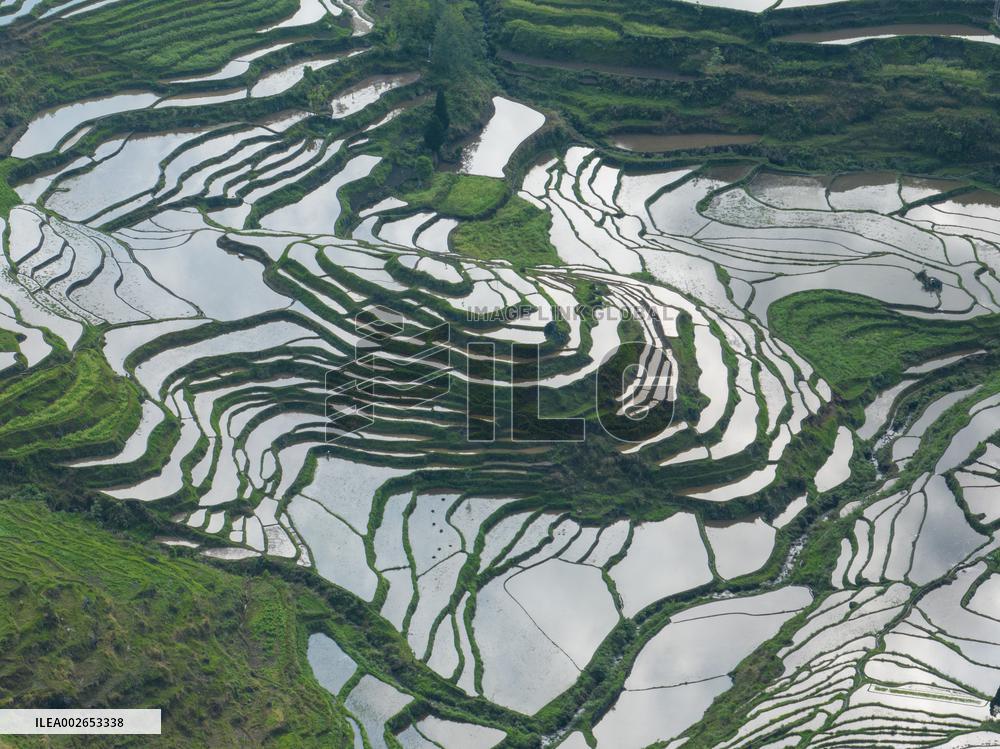 Clouds Swirl Around Irrigation Terraces in Chongqing