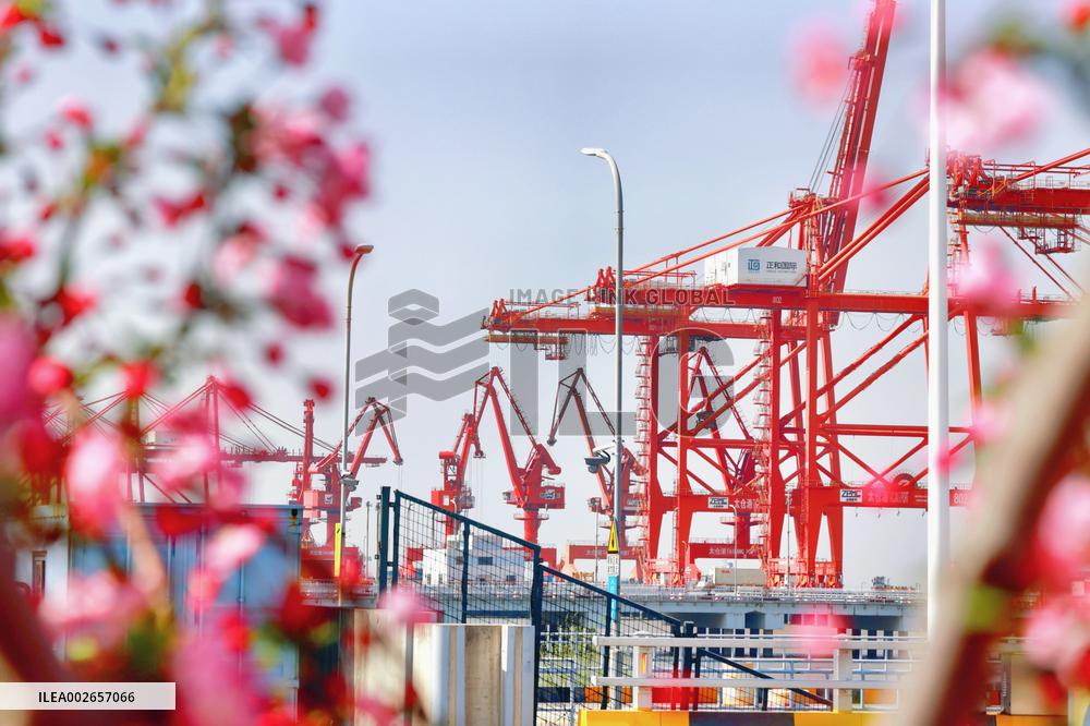 Taicang International Pier