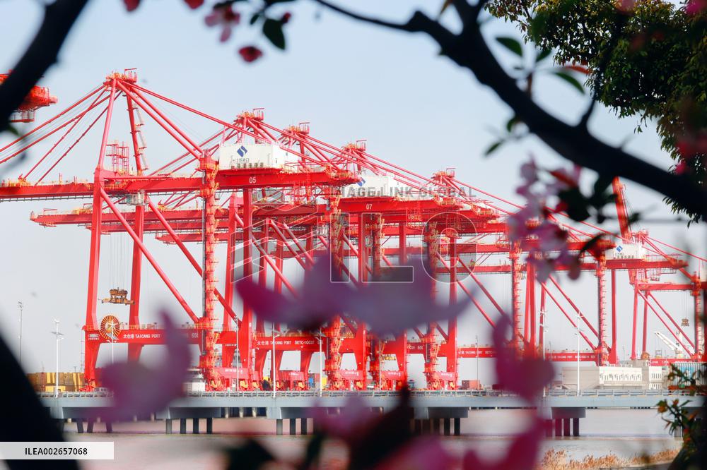 Taicang International Pier