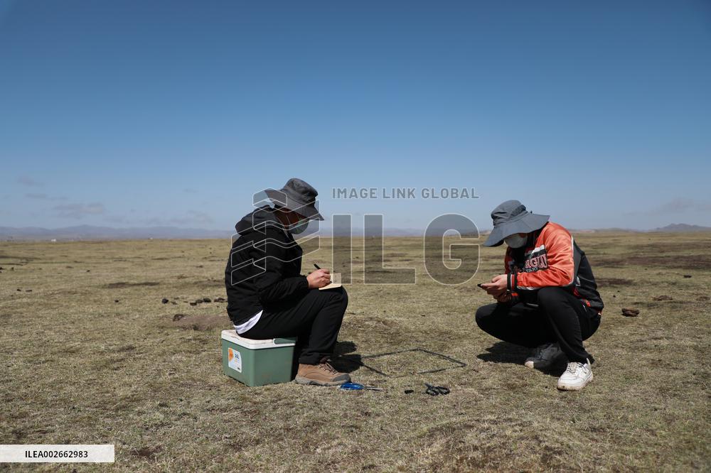 CHINA-LANZHOU-FARMING-STUDENTS-FIELDWORK (CN)