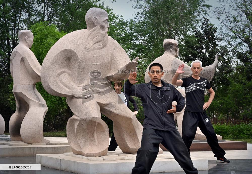 (SP)CHINA-HENAN-TAICHI-FRENCH ENTUSIAST