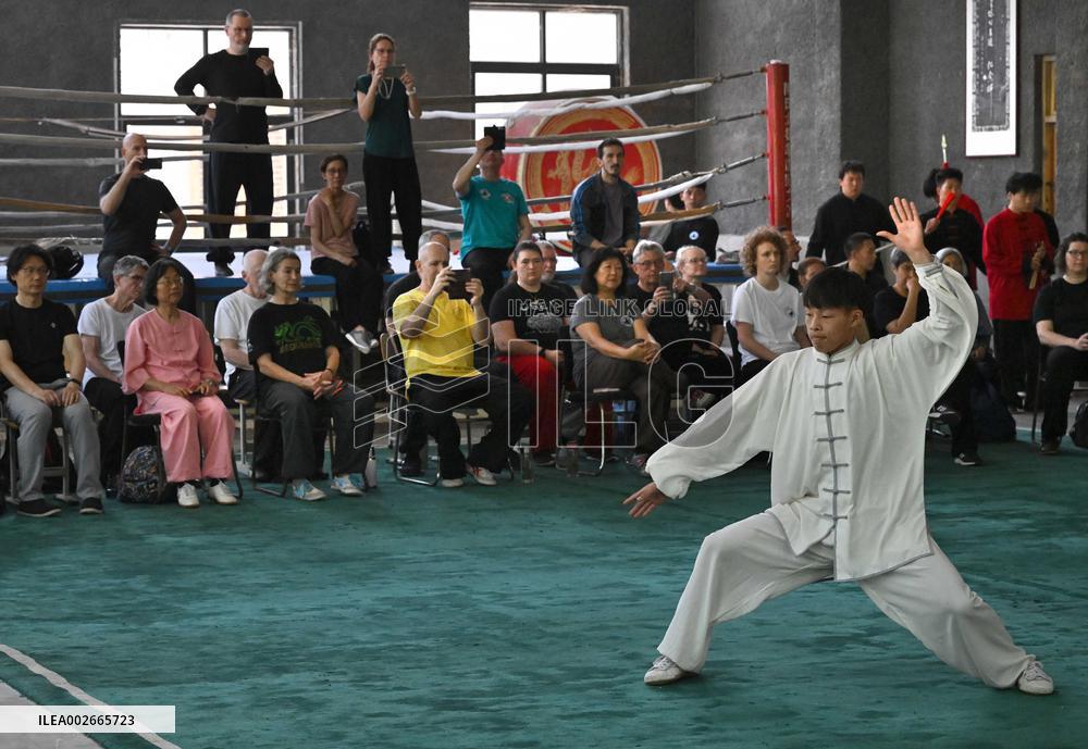 (SP)CHINA-HENAN-TAICHI-FRENCH ENTUSIAST